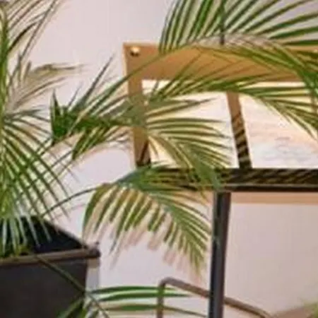 מלון Le Carline, Sure Collection By Western 3*