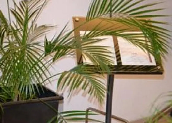 Ξενοδοχείο Le Carline, Sure Collection By Western 3*